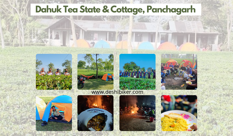 Dahuk Tea & Tea State, Panchagarh